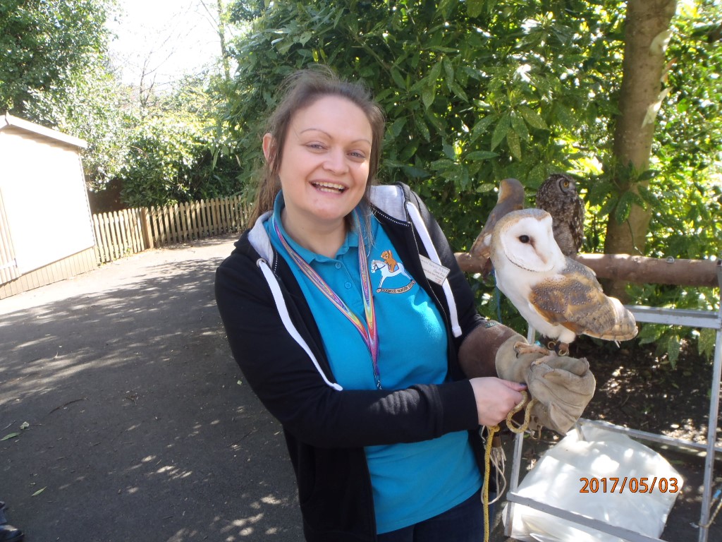 Owl Visit
