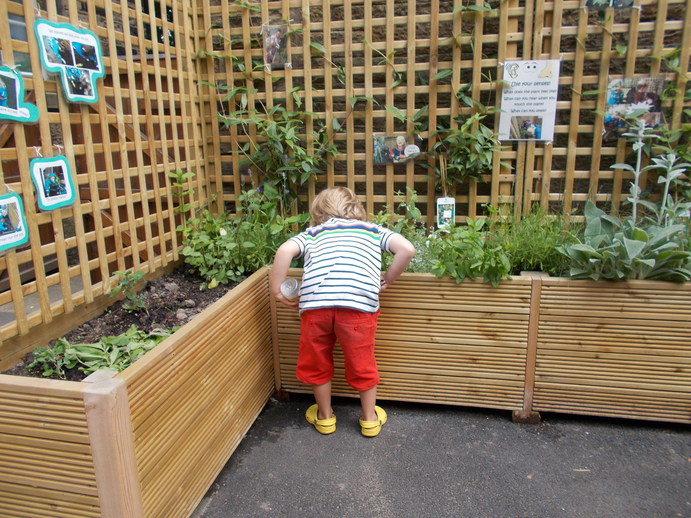 Sensory Garden