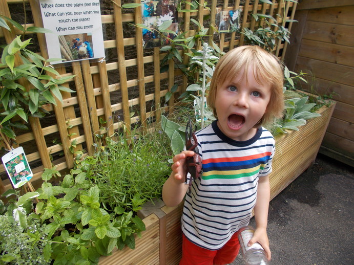 Sensory Garden